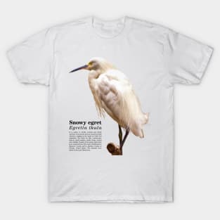 Snowy egret tropical bird black text T-Shirt